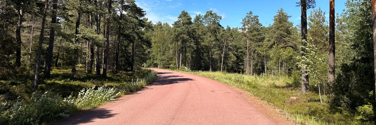 En åländsk väg av asfalt som går genom en tallskog